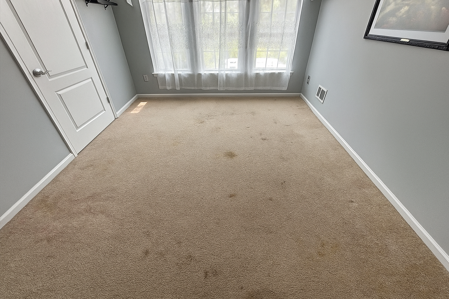 37321f31-019e-498c-9804-0a17e00a5eb4